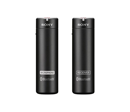 Sony ECMAW4