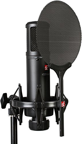 SE Electronics sE2200a II C Large Diaphragm