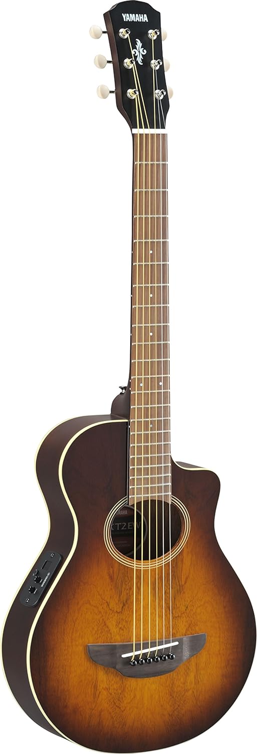 acoustic-electric-guitar