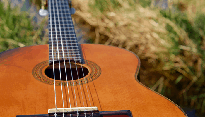Acoustic guitar